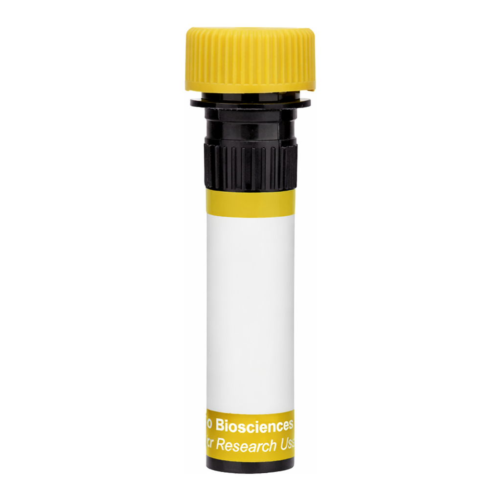 BD RY586 Mouse Anti-Biotin