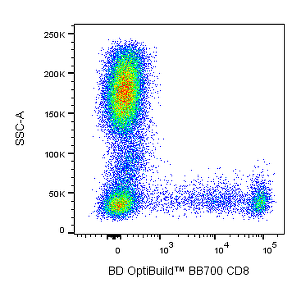 BD BB700 Mouse Anti-Human CD8