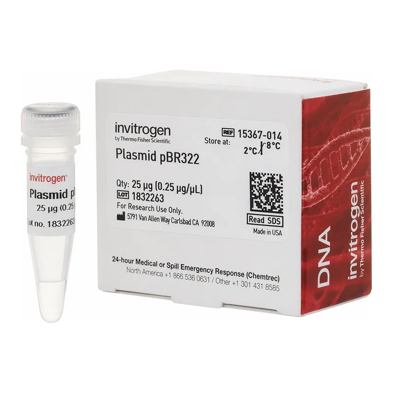 Thermo Fisher Scientific Plasmid pBR322