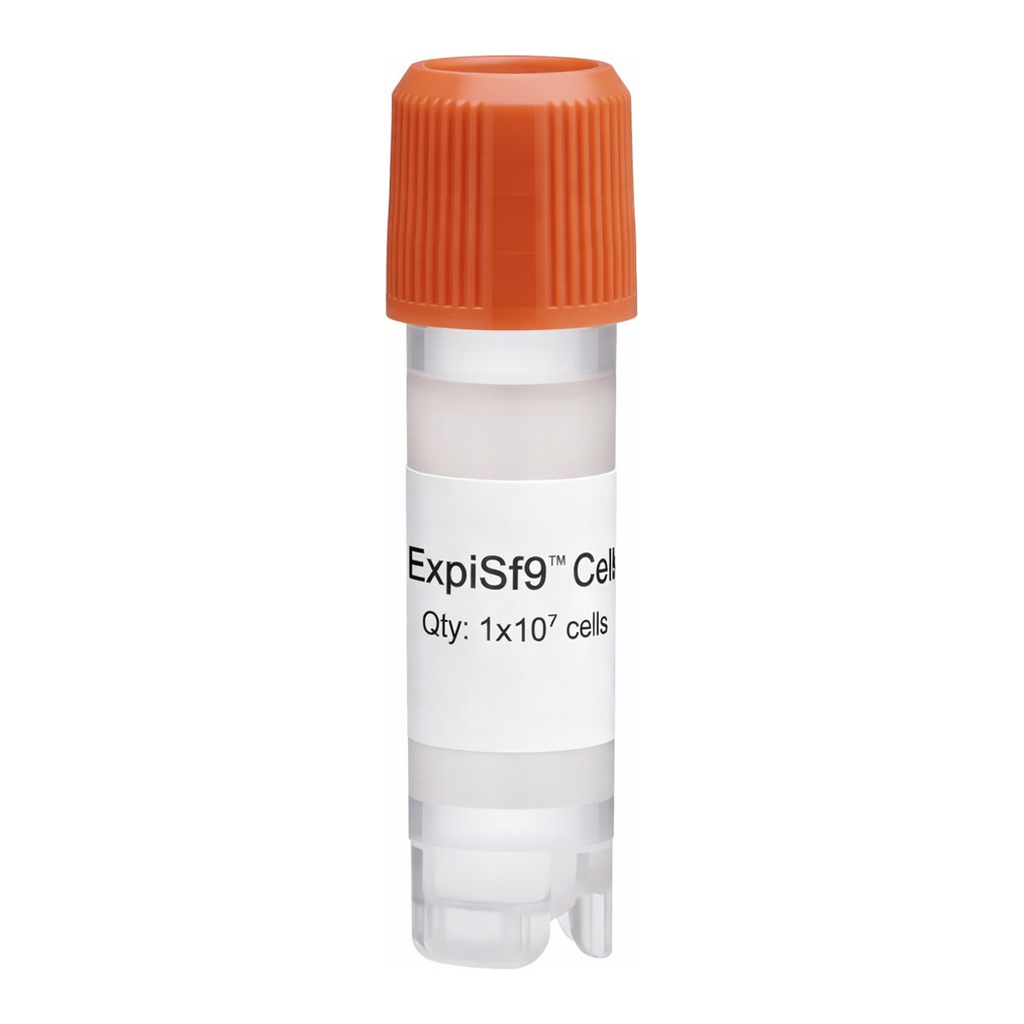 Thermo Fisher Scientific ExpiSf9 Cells