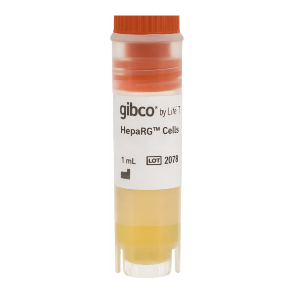Thermo Fisher Scientific HepaRG Cells, Cryopreserved