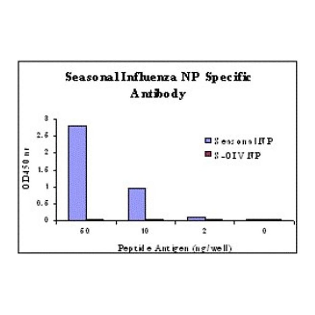 Merck Anti-Seasonal H1N1 Nucleocapsid Protein antibody produced in rabbit
