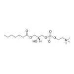 Merck 07:0 Lyso PC
