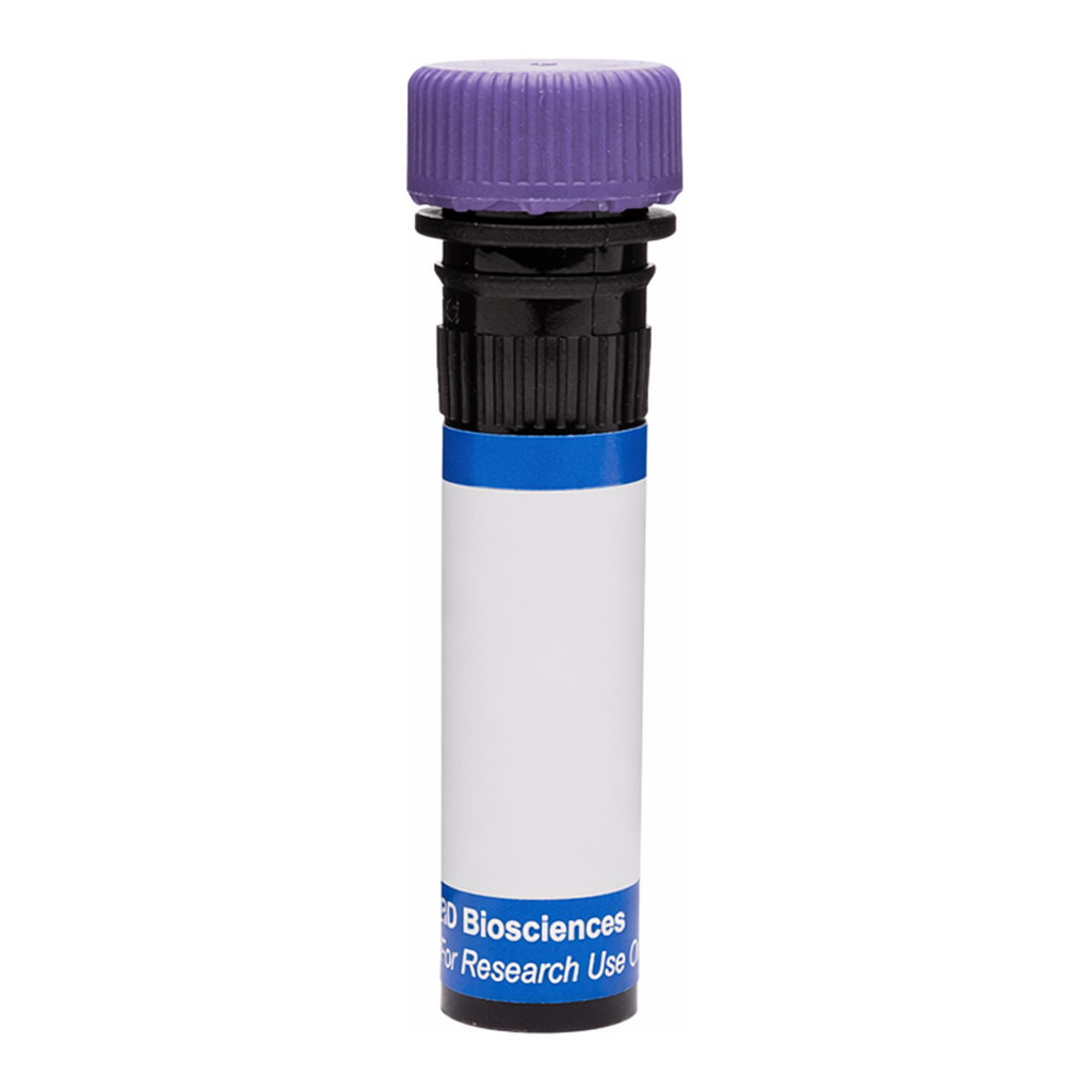 BD RB744 Rat Anti-Mouse CD200 Receptor 3