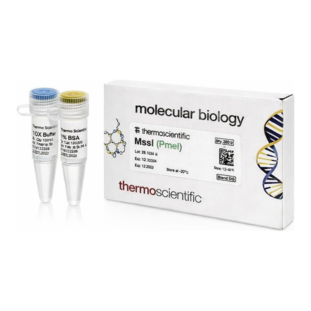 Thermo Fisher Scientific MssI (PmeI) (5 U/&mu;L), 250 units