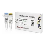 Thermo Fisher Scientific MssI (PmeI) (5 U/μL), 250 units