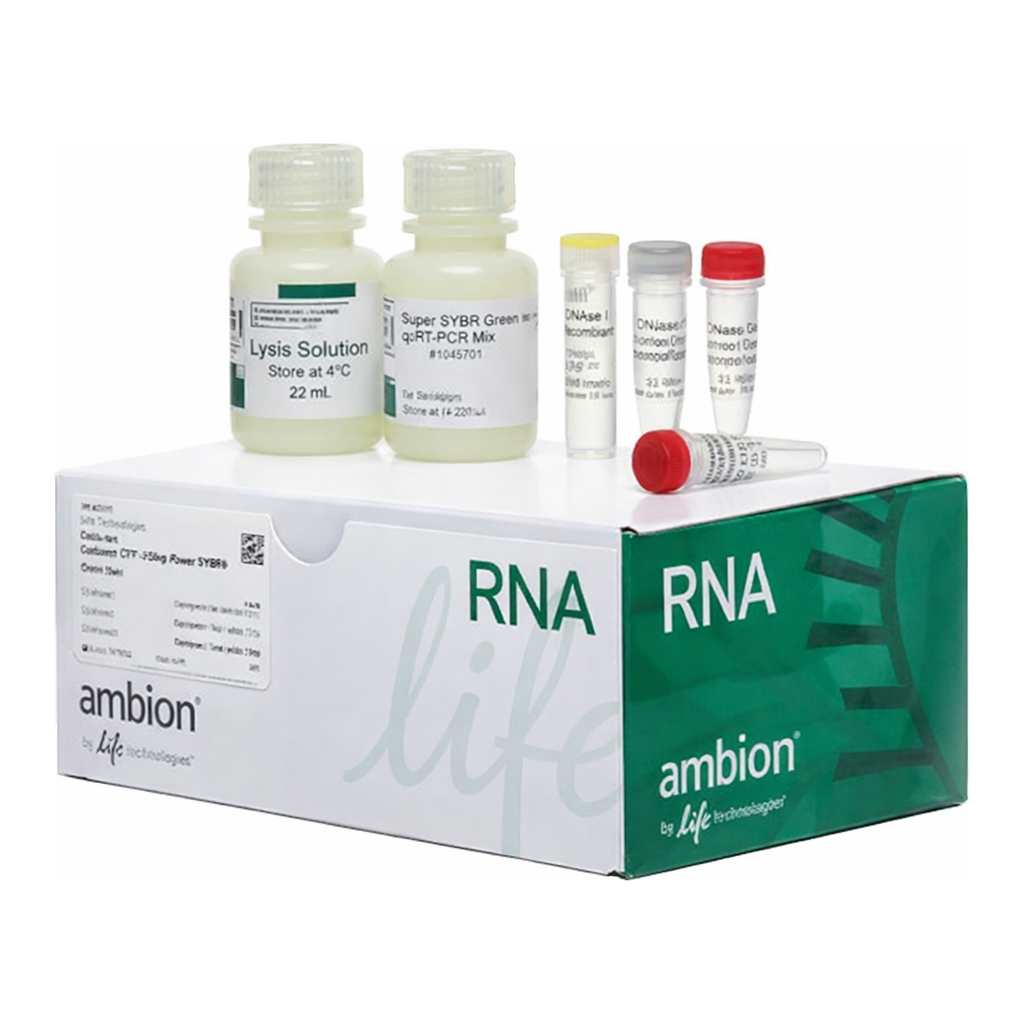 Thermo Fisher Scientific Cells-to-CT 1-Step Power SYBR Green Kit, 400 Preps