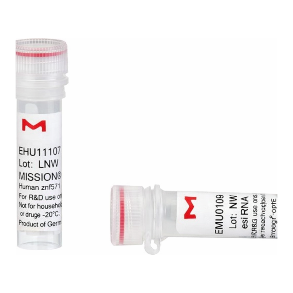 Merck MISSION(R) esiRNA