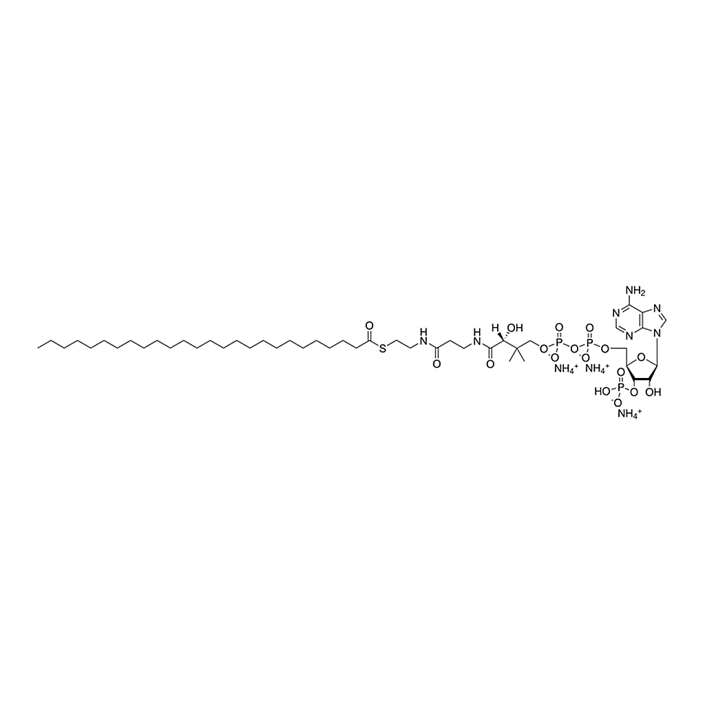 Merck 26:0 Coenzyme A