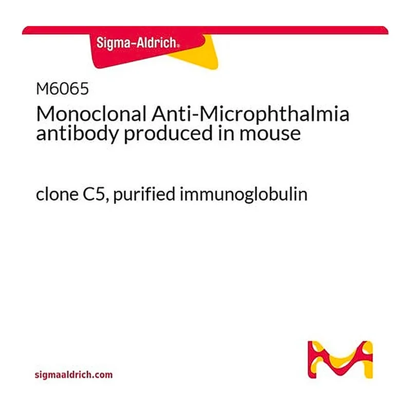 Merck Monoclonal Anti-Microphthalmia antibody produced in mouse