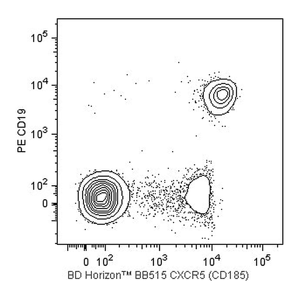 BD BB515 Rat Anti-Human CXCR5 (CD185)