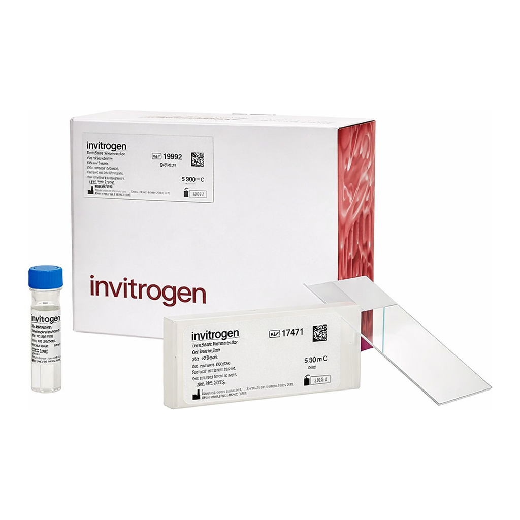 Thermo Fisher Scientific ViewRNA Tissue Positive Control Kit (1-plex) (4 rat kidney slides + probe)
