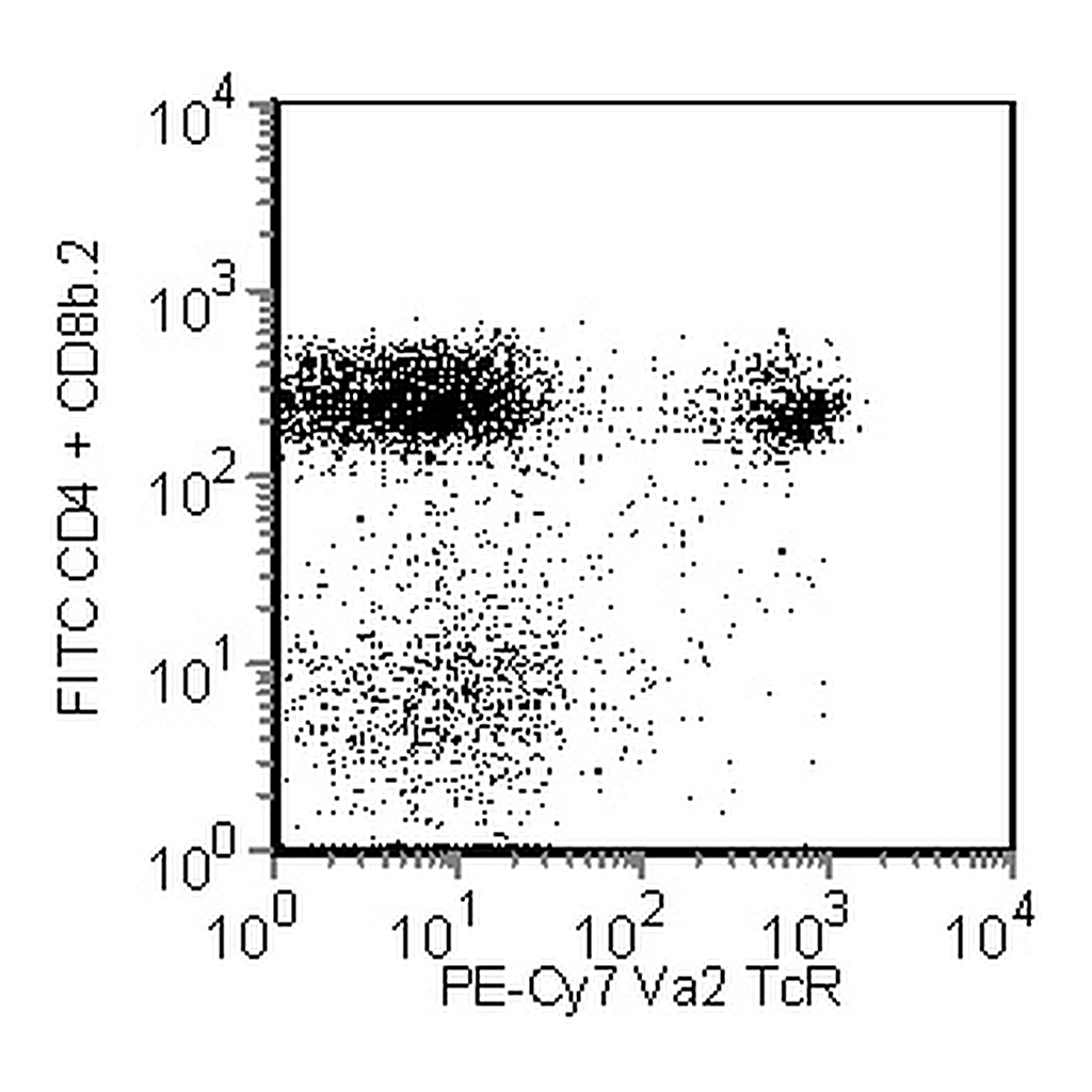 BD PE-Cy7 Rat Anti-Mouse Vα2 TCR