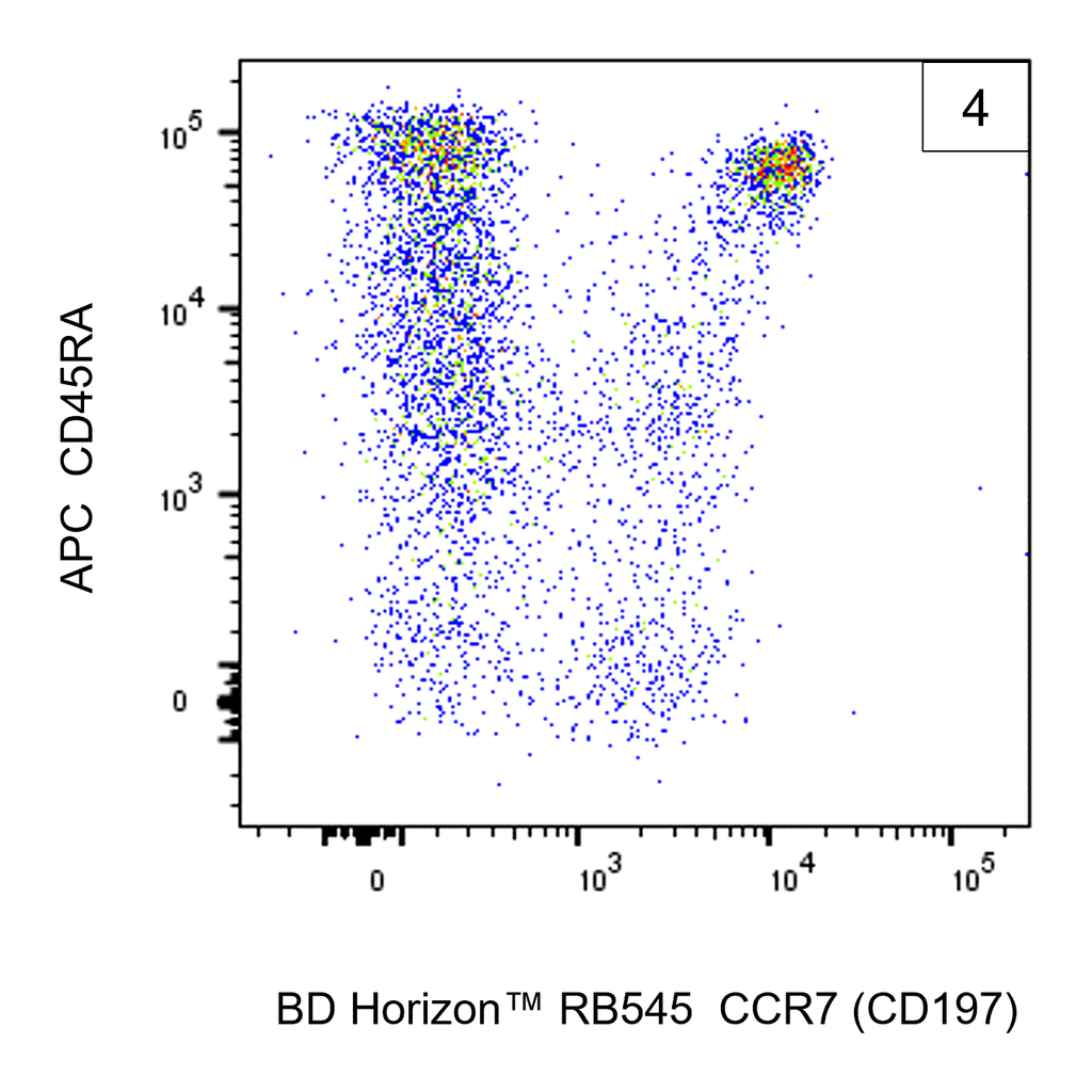 BD RB545 Mouse Anti-Human CCR7 (CD197)
