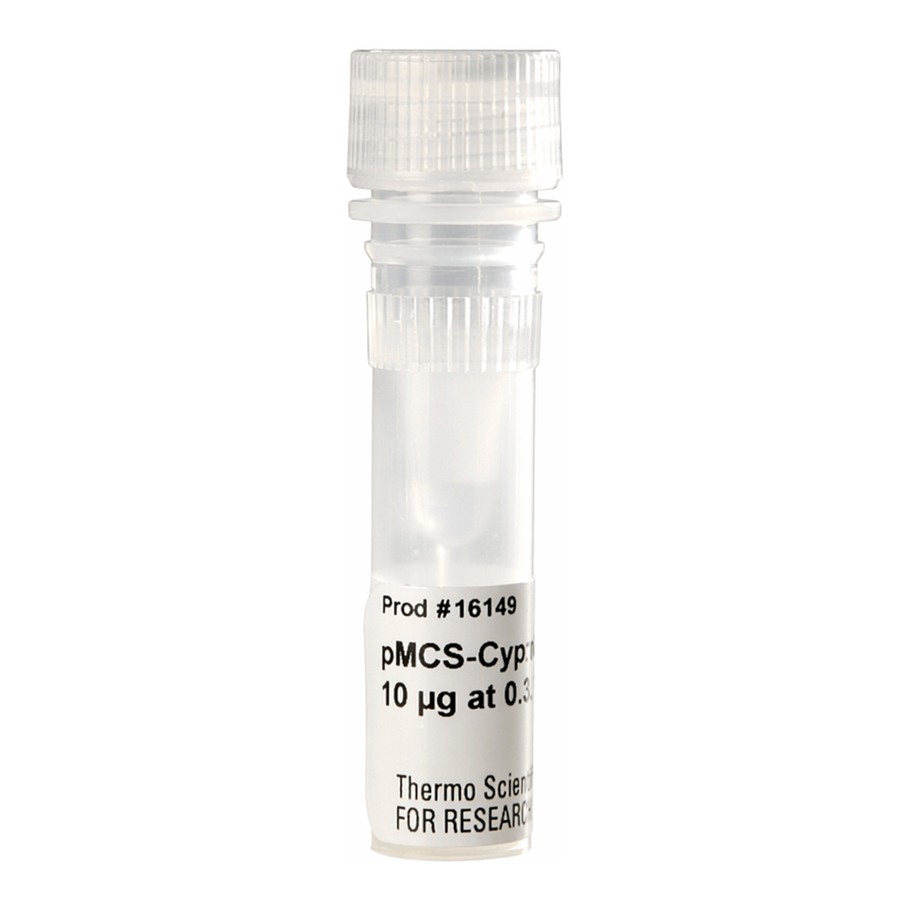 Thermo Fisher Scientific pMCS-Cypridina Luc Vector for Luciferase Assays