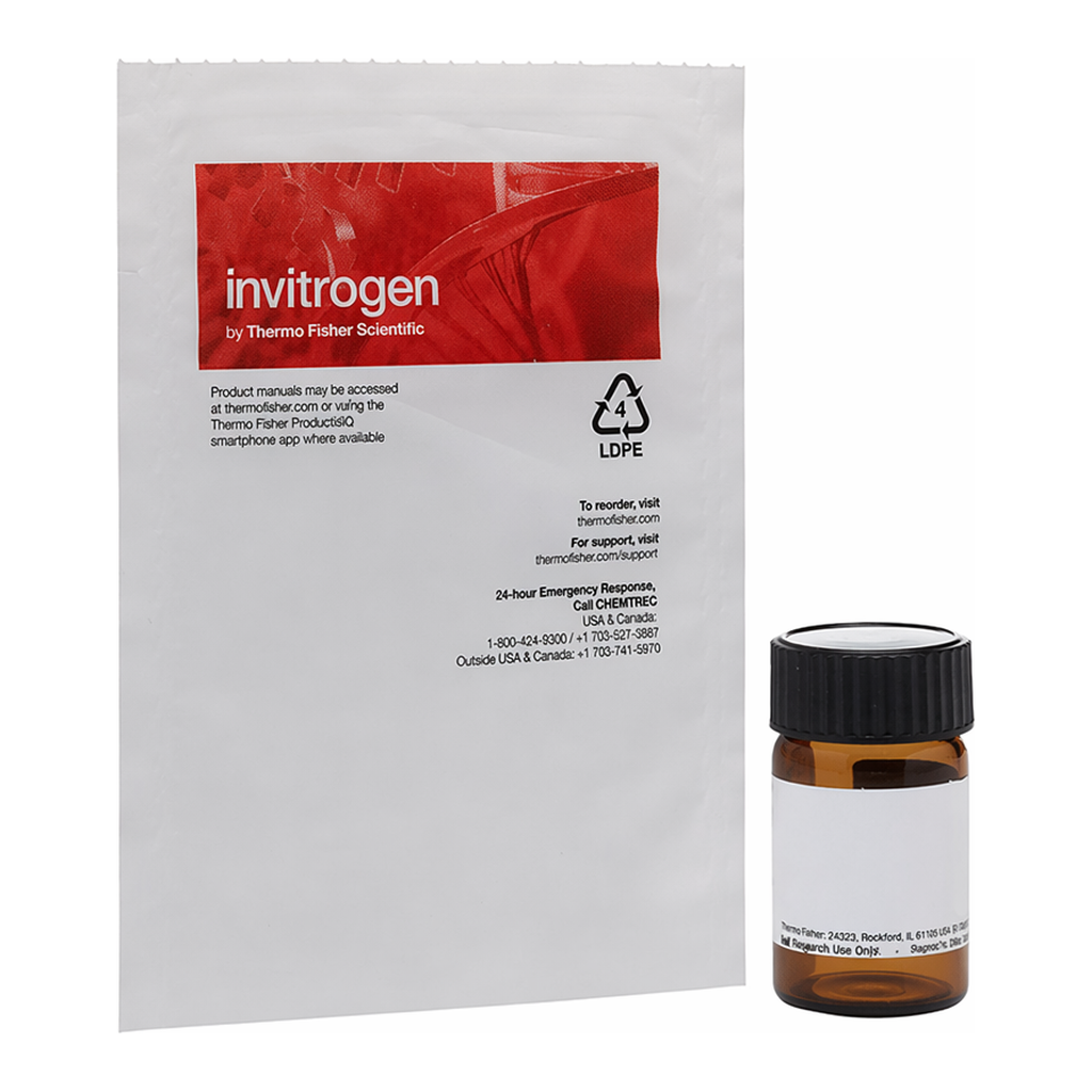 Thermo Fisher Scientific 6-NBDG (6-(N-(7-Nitrobenz-2-oxa-1,3-diazol-4-yl)amino)-6-Deoxyglucose)