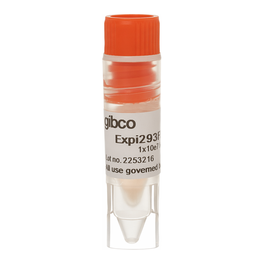 Thermo Fisher Scientific Expi293F Cells, 1 mL