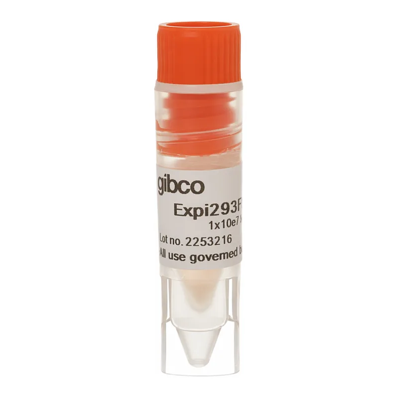 Thermo Fisher Scientific Expi293F Cells, 1 mL