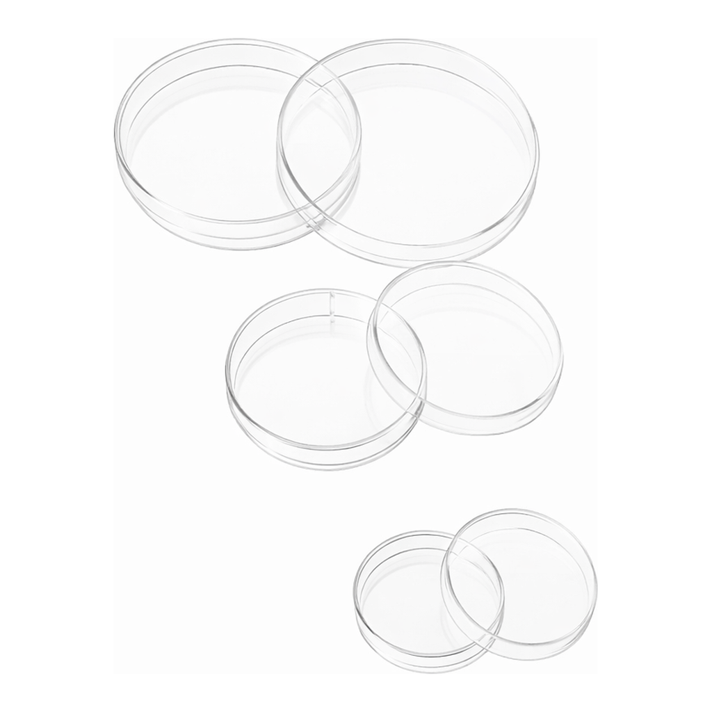 Kirgen Cell Culture Dish 세포배양디쉬 Φ35mm 60mm 100mm Sterile RNase/DNase free 셀 컬쳐 디쉬