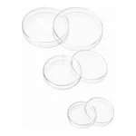 Kirgen Cell Culture Dish 세포배양디쉬 Φ35mm 60mm 100mm Sterile RNase/DNase free 셀 컬쳐 디쉬