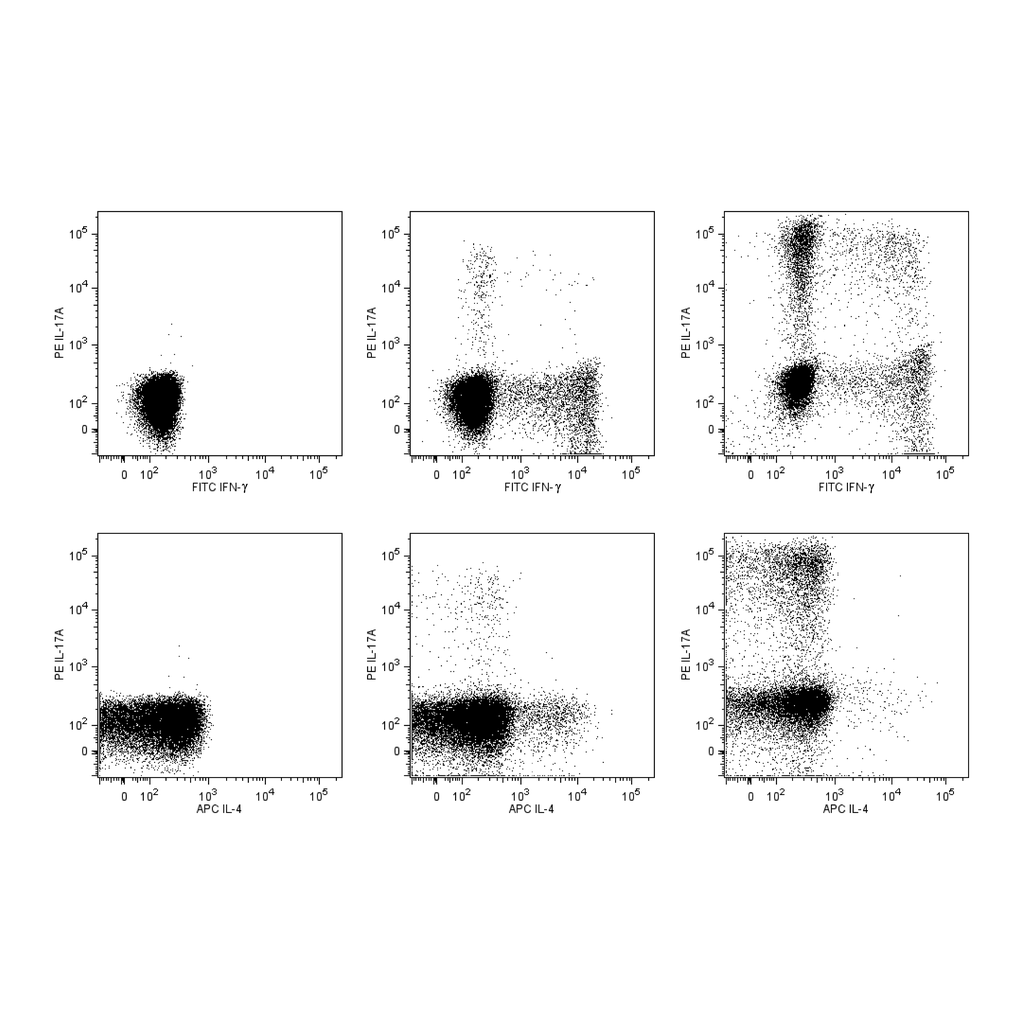 BD Human Th1/Th2/Th17 Phenotyping Kit