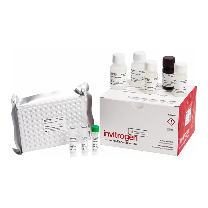Thermo Fisher Scientific Rabbit Estradiol Rapid ELISA Kit