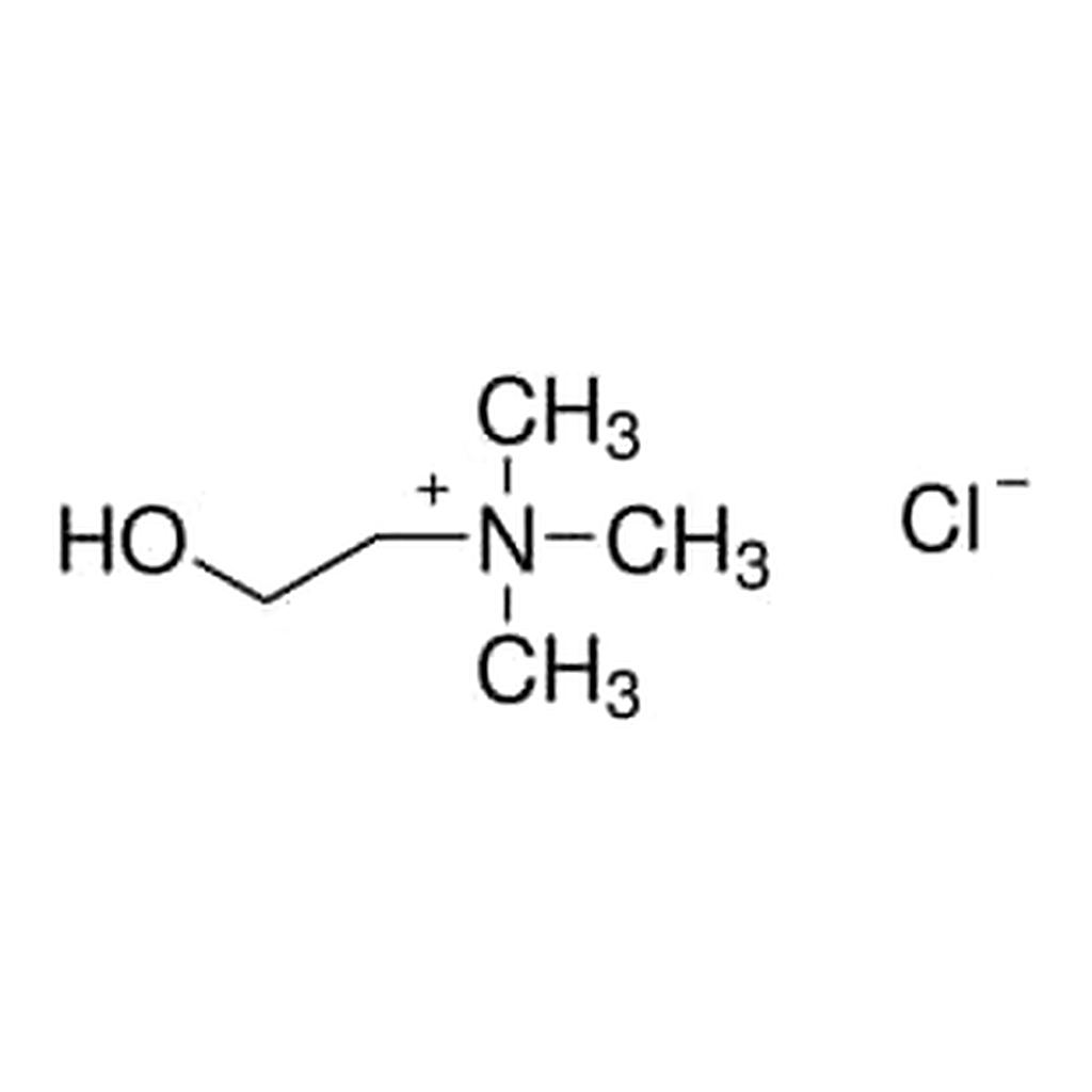 Merck CHOLINE CHLORIDE >= 98%