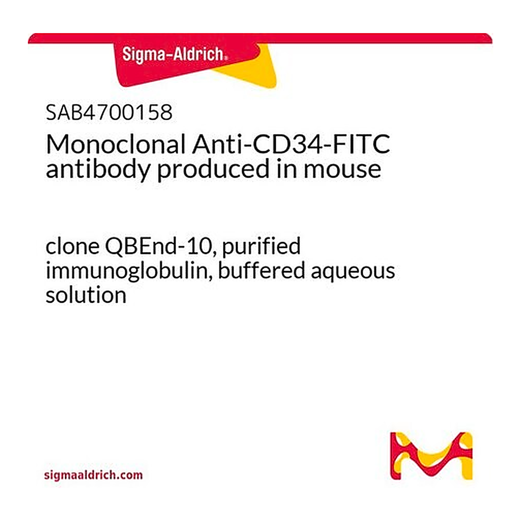 Merck Monoclonal Anti-CD34-FITC antibody produced in mouse