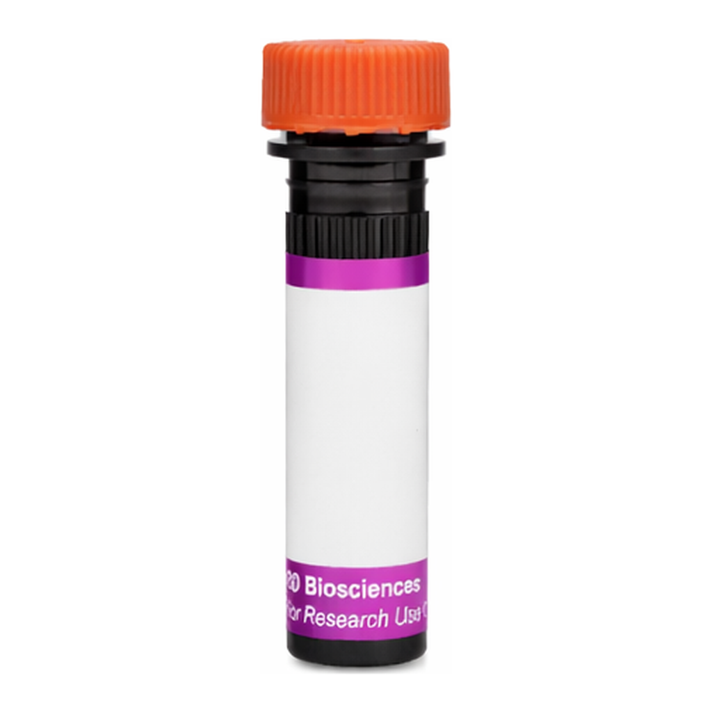 BD BV605 Rat Anti-Mouse Integrin β7 Chain