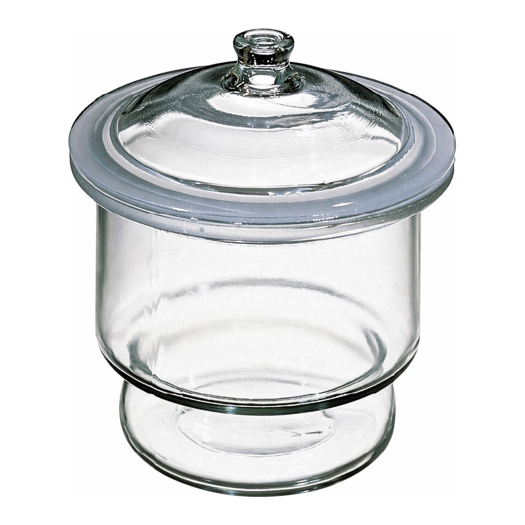 Thermo Fisher Scientific Heavy Glass Desiccators