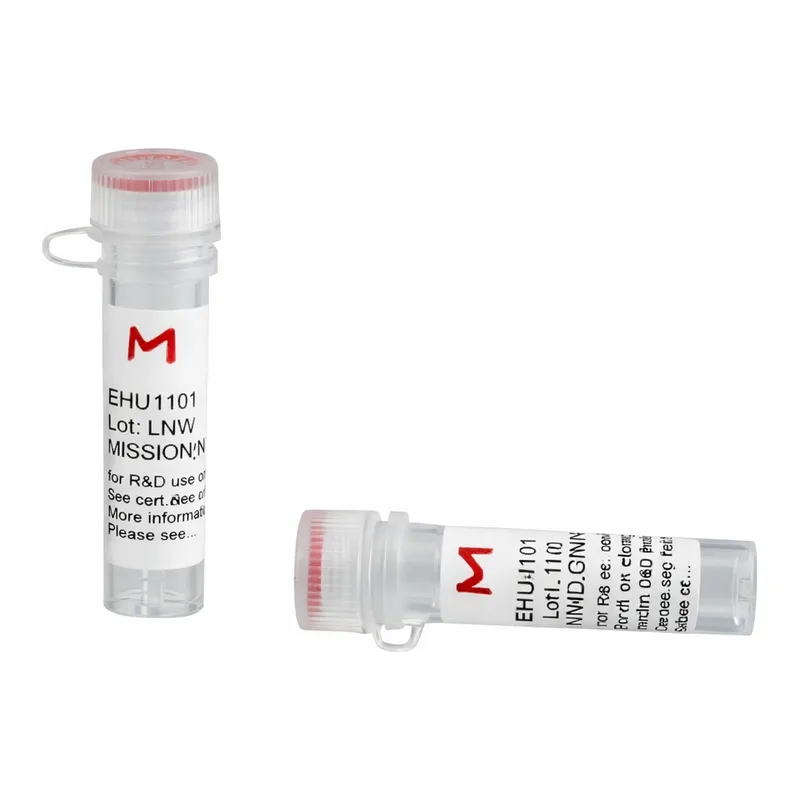 Merck ESIRNA HUMAN SGK1