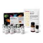 Thermo Fisher Scientific Pierce Colorimetric Protease Assay Kit
