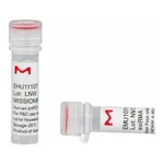 Merck MISSION(R) esiRNA