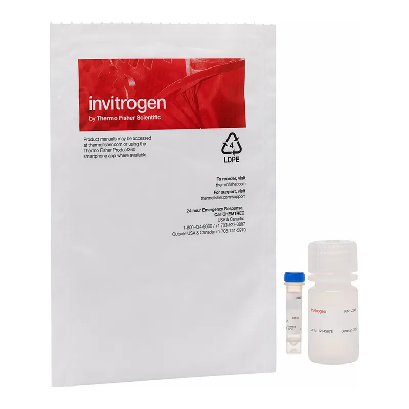 Thermo Fisher Scientific BrdUTP (5-Bromo-2`-Deoxyuridine 5`-Triphosphate), 10 mM in TE buffer
