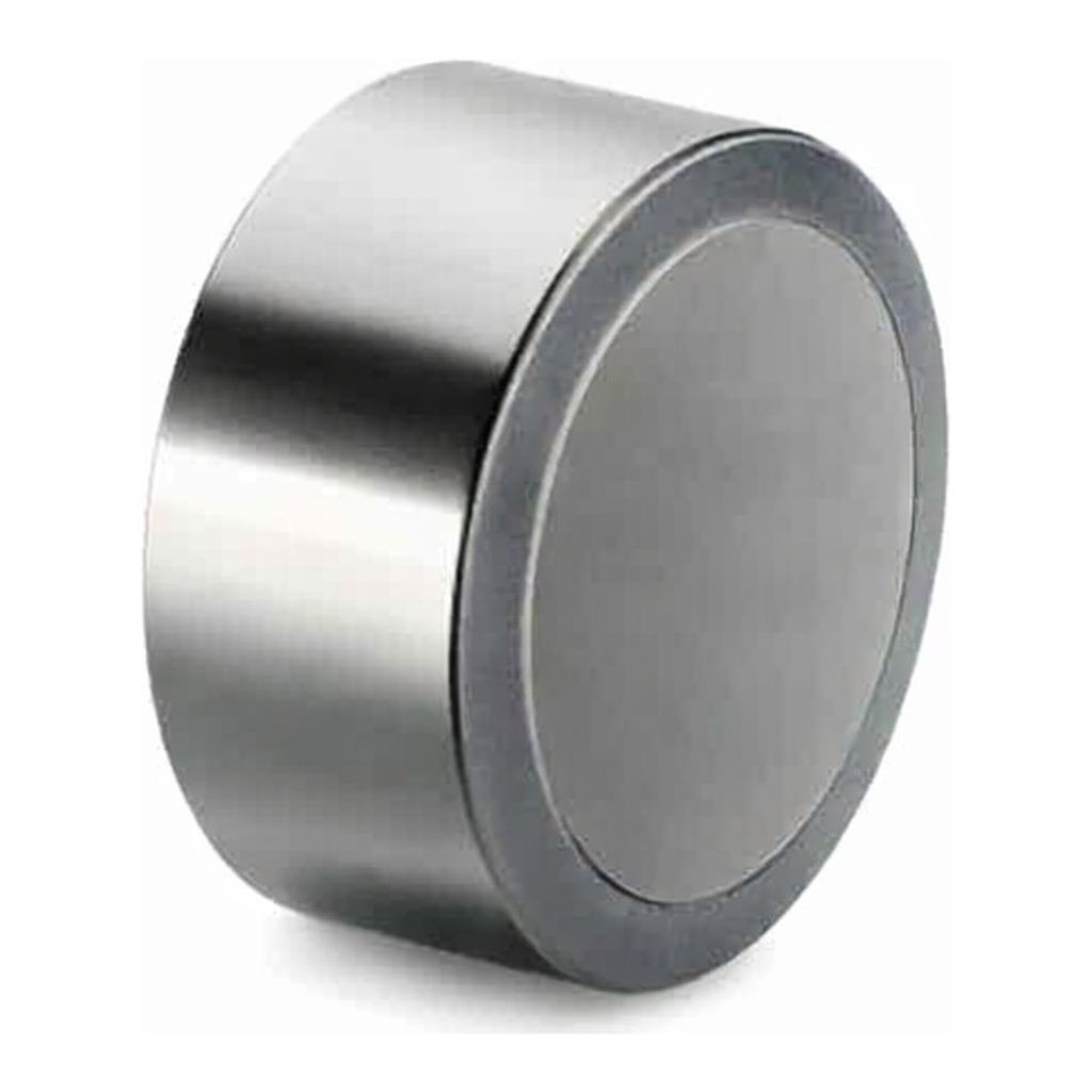 Waters SunFire Silica C8 Prep Guard Cartridge, 100Å, 10 µm, 30 mm X 10 mm, 1/pk