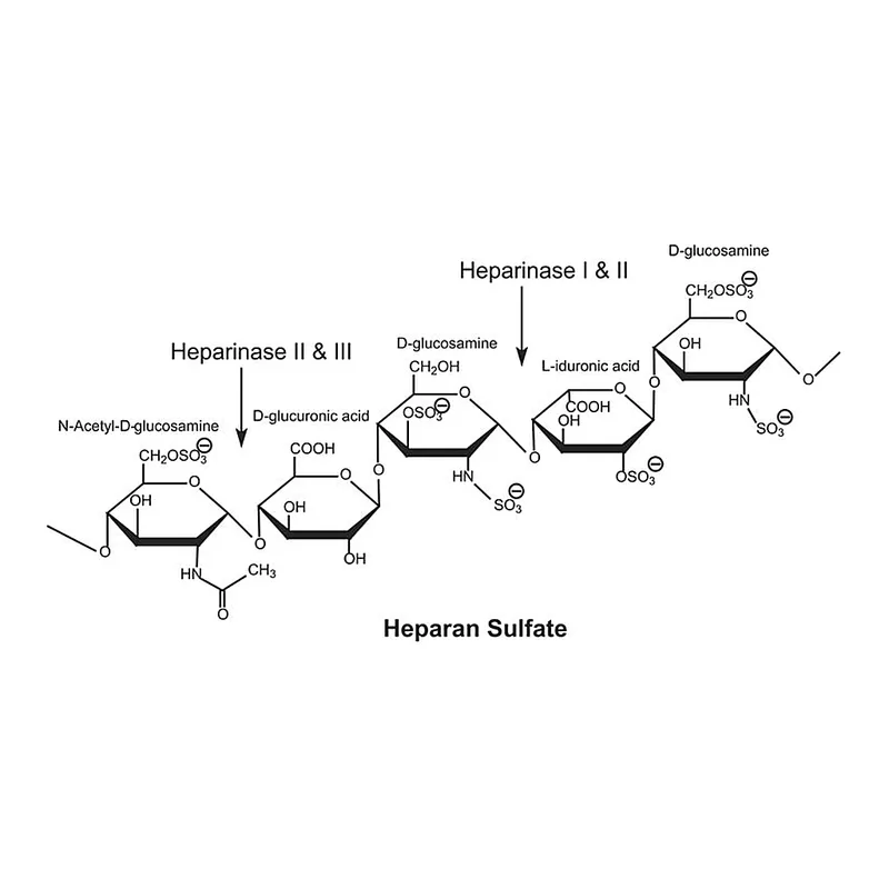 Merck Heparinase I and III Blend from Flavobacterium heparinum