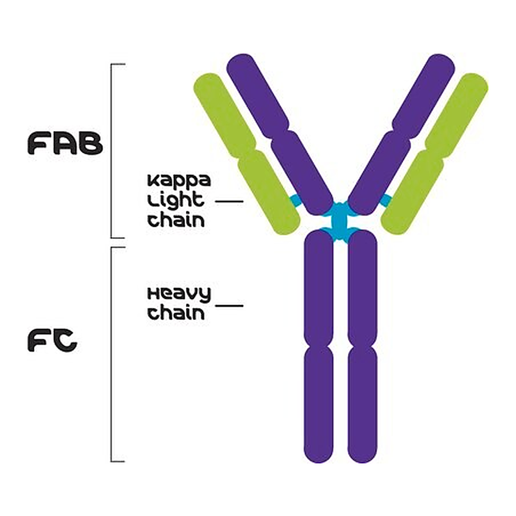 Merck MOUSE IGG1-KAPPA (MOPC 31C)
