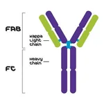 Merck MOUSE IGG1-KAPPA (MOPC 31C)