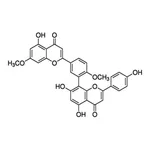 Merck GINKGETIN
