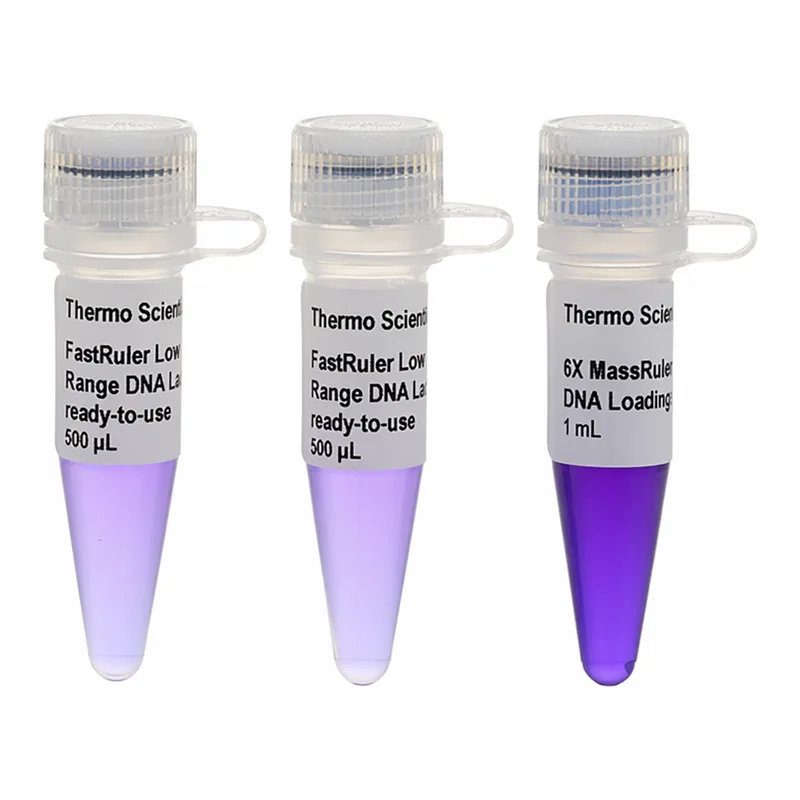 Thermo Fisher Scientific FastRuler Low Range DNA Ladder, ready-to-use
