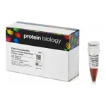 Thermo Fisher Scientific Spectra Multicolor Broad Range Protein Ladder, 10 x 250 μL