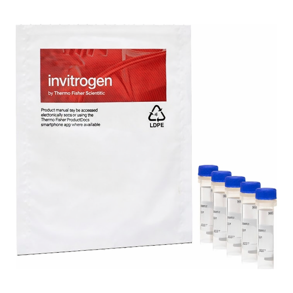 Thermo Fisher Scientific OxyBURST Green H2HFF BSA - Special Packaging