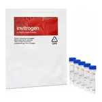 Thermo Fisher Scientific OxyBURST Green H2HFF BSA - Special Packaging