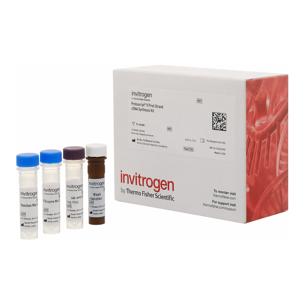 Thermo Fisher Scientific SPARC (Osteonectin) Human ProcartaPlex Simplex Kit