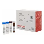Thermo Fisher Scientific SPARC (Osteonectin) Human ProcartaPlex Simplex Kit