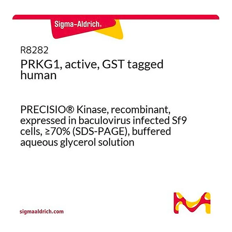 Merck PRKG1, active, GST tagged human