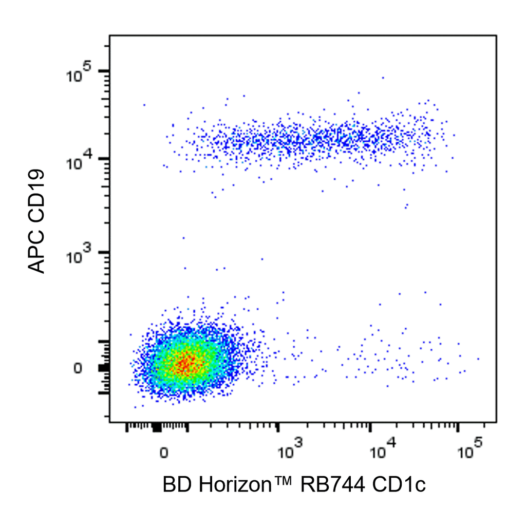 BD RB744 Mouse Anti-Human CD1c