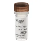 Thermo Fisher Scientific Universal Rat Reference RNA