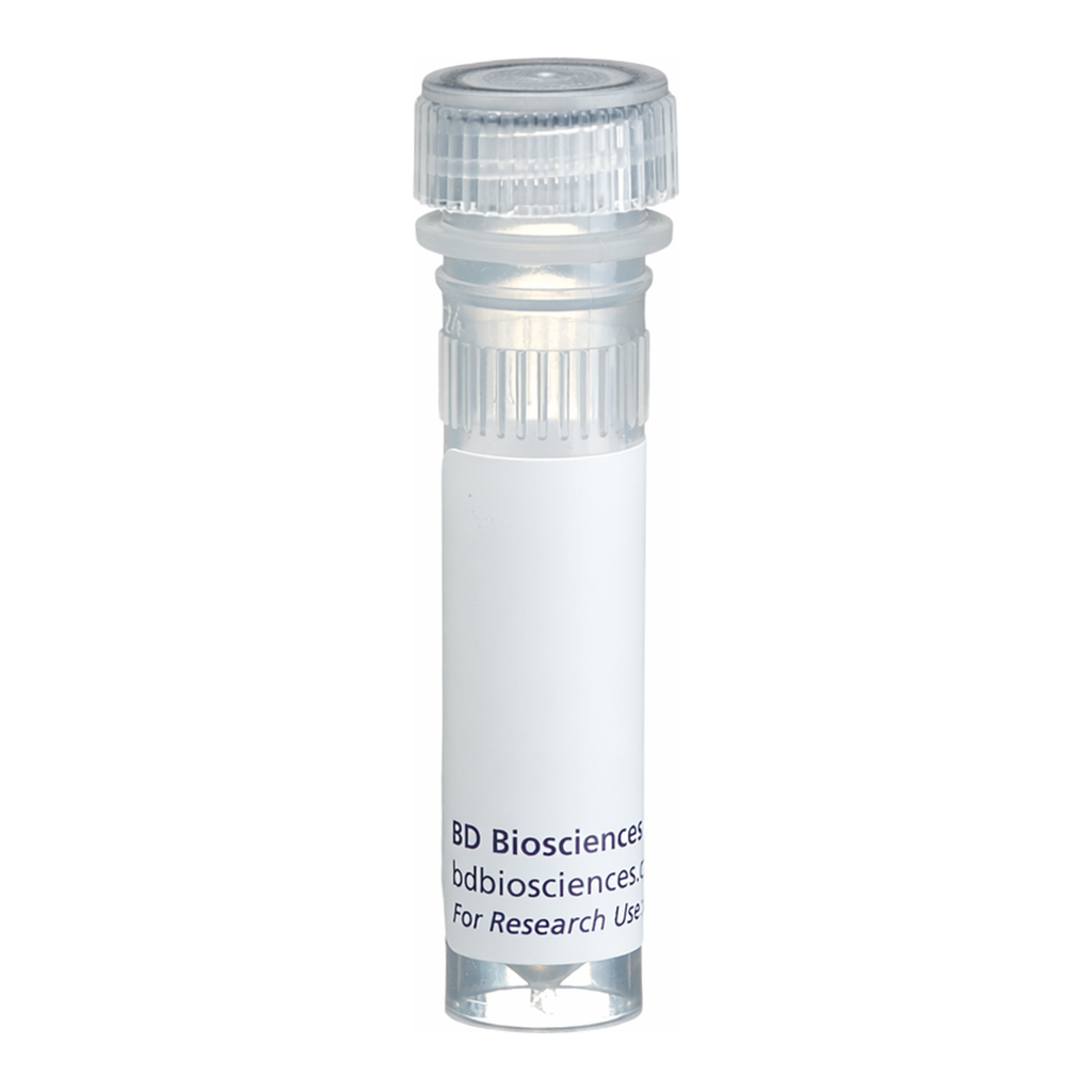 BD Biotin Mouse Anti-Rat Ig, κ Light Chain