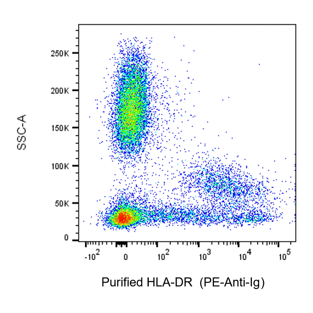 BD Purified Mouse Anti-Human HLA-DR